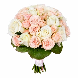   .     . Belflower -    .     .